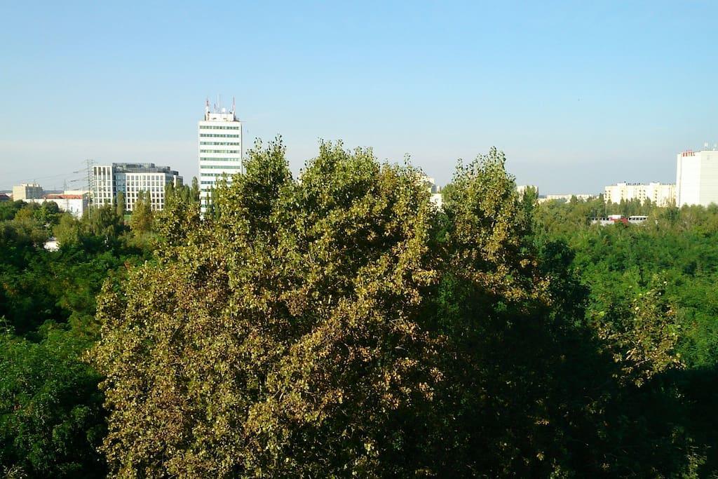 1 Bedroom Francuska Park Apartment Катовице Экстерьер фото